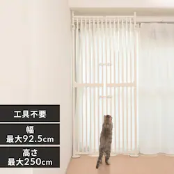яoh~ybgQ[g ɂhA 1271107004 zCg yvUZNgz