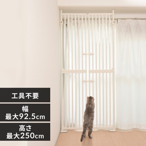 1,000~OFFяoh~ybgQ[g ɂhA 1271107004 zCg_0