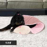 �y�b�c���[�g �ق��ق� �܂���P�b�g ������