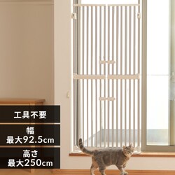 яoh~ybgQ[g ɂhA 1271107005 x[WyvUZNgz