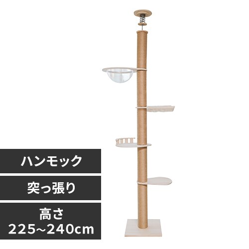 ˒AX`bN^[ nbN 1011106003 _0