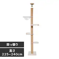 ˒AX`bN^[ oRj[ 1011103004 