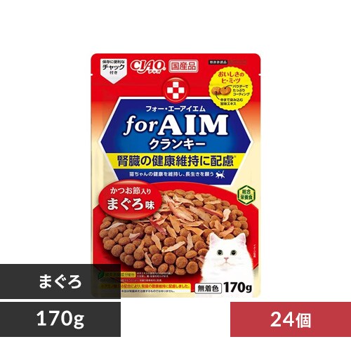 CIAO forAIMNL[ ~24 CA-41 ߓ^܂떡_0