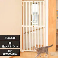 яoh~ybgQ[g ɂhA N[ 1271107006