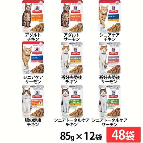 �y48�܁z�L�p �p�E�` 85g �V�j�A�P�A�^�`�L��_0