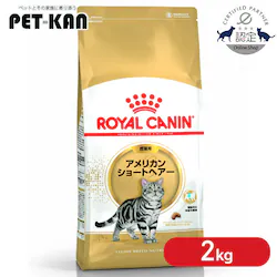 �y6�Z�b�g�z���C�����J�i�� �L �A�����J���V���[�g�w�A�[ ���L�p 2kg ���K�i FBN�i�t�B�[���C�� �u���[�h �j���[�g���V�����jrccf33