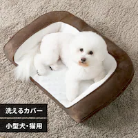 ybgxbh 􂦂  Jo[Ołybgxbh M JuE