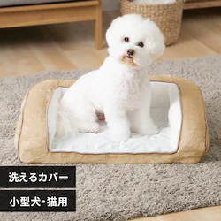 ybgxbh 􂦂  Jo[Ołybgxbh M x[WyvUZNgz