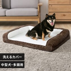 ybgxbh 􂦂  Jo[Ołybgxbh L JuEyvUZNgz