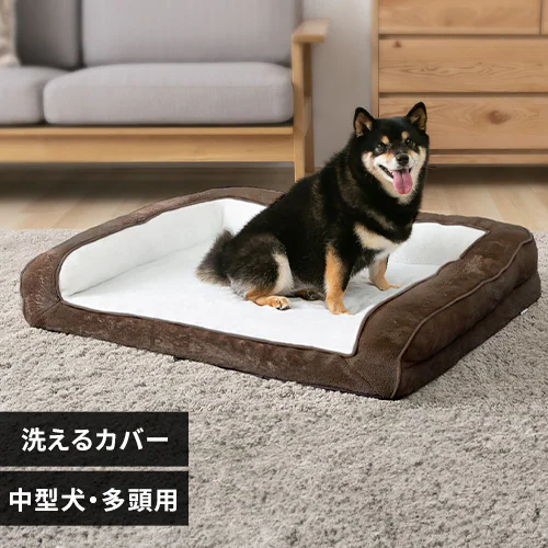 ybgxbh 􂦂  Jo[Ołybgxbh L JuE_0