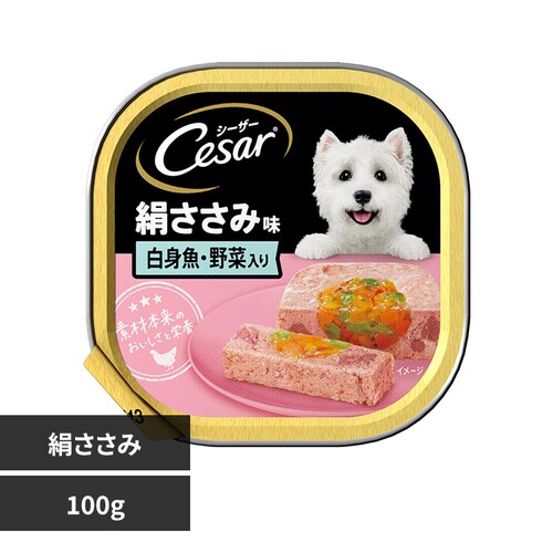 }[XWp~ebh V[U[ /ݖ gC 100g CE10N yvUZNgz_0