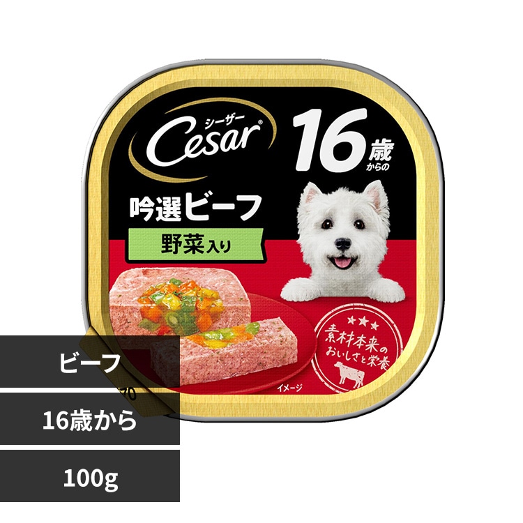 }[XWp~ebh V[U[ 16΂ ؓ gC 100g CE80N r[t t[h