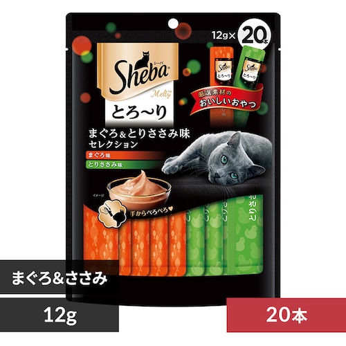 Sheba V[o Ƃ` eB ZNV 12g~20{ SMT33 ܂끕Ƃ肳ݖL _0