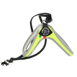 LTP101 Liberta FLUO 1.5 �C�G���[