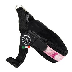 LTP127 Fibbia adj-type PENNY COLLECTION 1 �s���N�J��