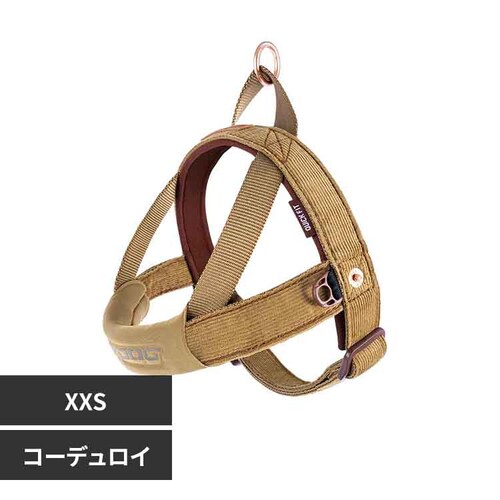 NCbNn[lX XXS R[fC  EZ _0
