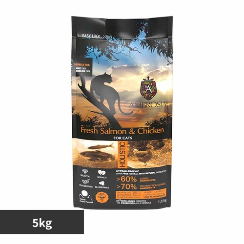 �A���u���V�A �L���b�g�T�[�������`�L��5kg   �L���b�g�t�[�h �h���C�t�[�h_0