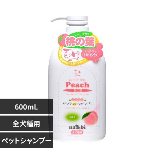 ir Ƃ菁 XCVv[ 600mL yvUZNgz_0