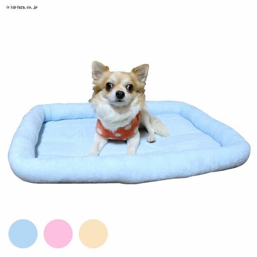 �y�b�g�v�� �^�I���}�b�g L �A�C�{���[_0