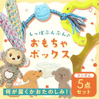 _͂y݁I^񂱗p nbs[obO5_Zbg