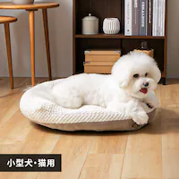 �������� �y�b�g�x�b�h �I�[�o���\�t�@�| �l�T�C�Y �O���[�W��