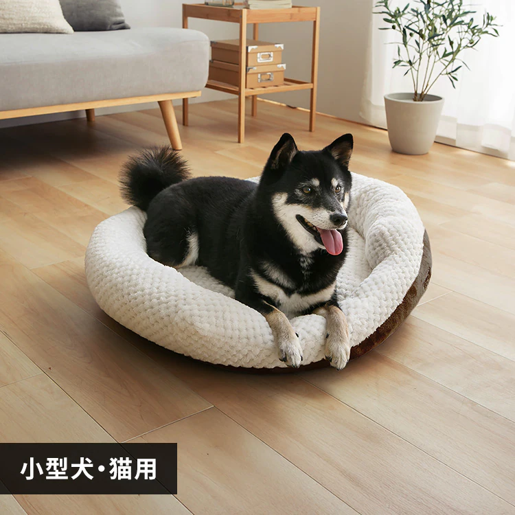 �ǉ����i�T���l�C��