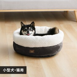 �y�b�g�x�b�h�h�[�i�c�\�t�@�`���R�[��