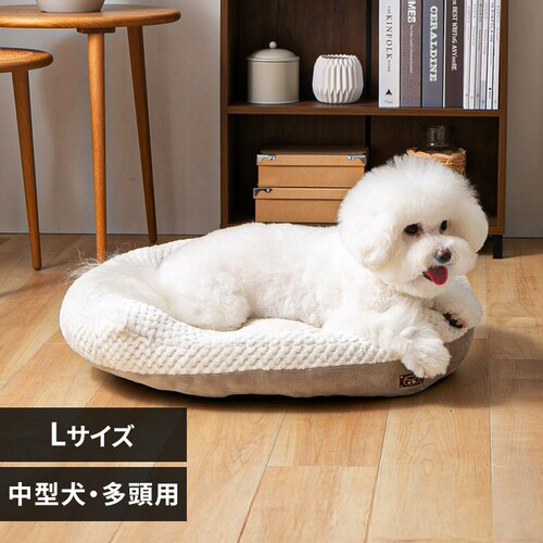 10OFFN[| ybgxbh I[o\t@[ LTCY O[W_0