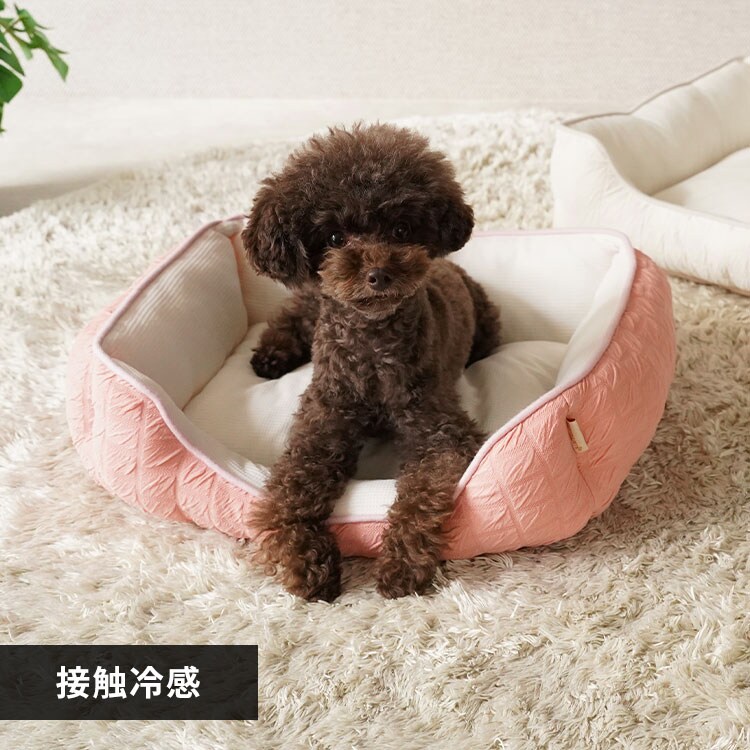 �ǉ����i�T���l�C��