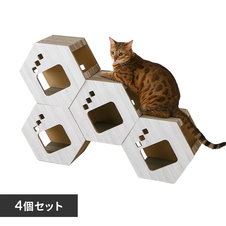 �ǉ����i�T���l�C��