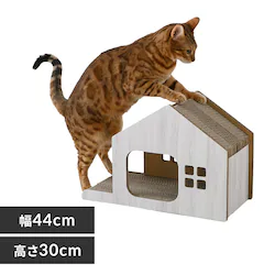 _{[nEX^߂Ƃ ؖ zCgyvUZNgz