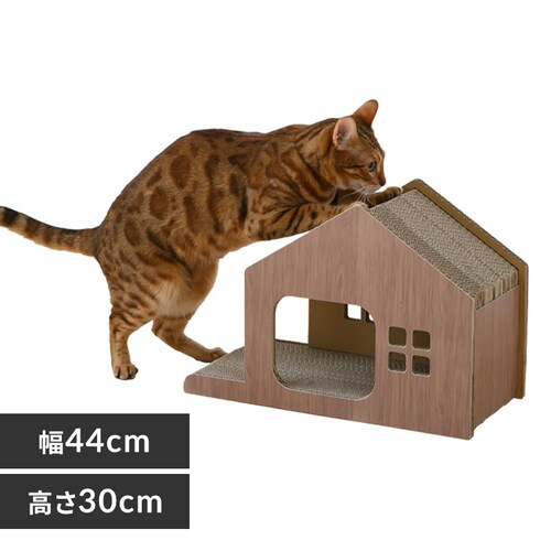 �_���{�[�����n�E�X�^�߂Ƃ� �ؖ� �u���E��_0