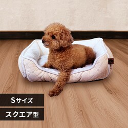 adorable pets �O�����L���g�X�N�G�A�x�b�h S SB-209SBE �x�[�W���y�v���U�Z���N�g�z