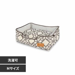 [N EWxbh M \XeBX yvUZNgz