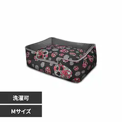 [N EWxbh M XJ yvUZNgz