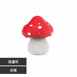 [N u[~OofB[Y }bV[ yvUZNgz