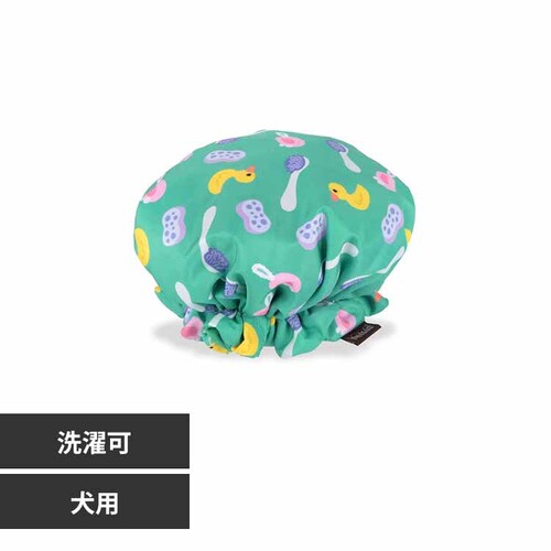 XvbVXvbV V[Lbv p ʂ_0