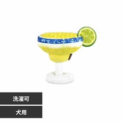 [N o[Ne_[ }K[^ yvUZNgz