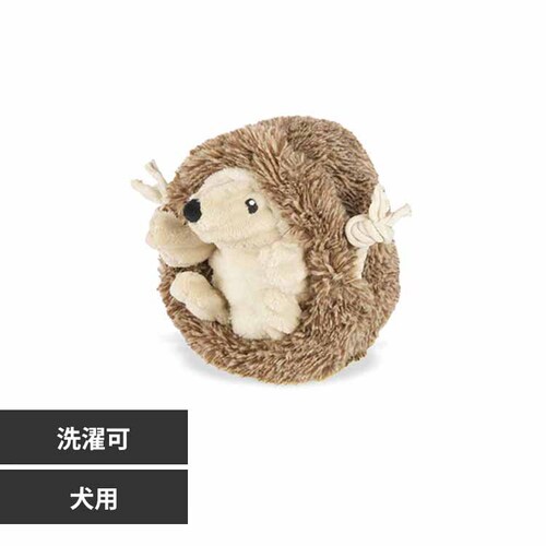 tHXgtY wbWzbO p ʂ_0