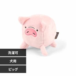 [N o[[hofB[Y sbOyvUZNgz