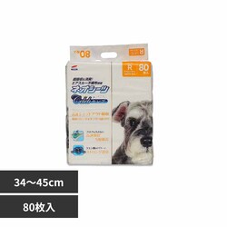 ЃR[`[ lIV[cZu M[80 3630446 yvUZNgz