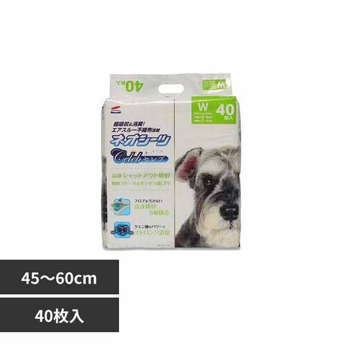 ЃR[`[ lIV[cZu Ch40 3630447 yvUZNgz_0