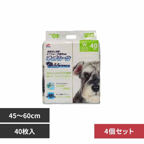 ЃR[`[ y4zlIV[cZu Ch40 3630447 yvUZNgz_0