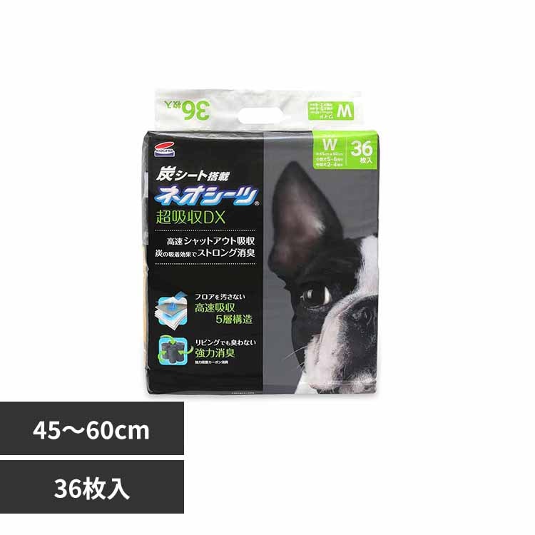 ЃR[`[ lIV[c+J[{DX Ch36 3630481 yvUZNgz