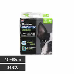 ЃR[`[ lIV[c+J[{DX Ch36 3630481 yvUZNgz