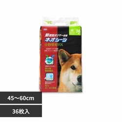 ЃR[`[ lIV[c RX Ch36 3630473 yvUZNgz