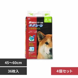 ЃR[`[ y4zlIV[c RX Ch36 3630473 yvUZNgz