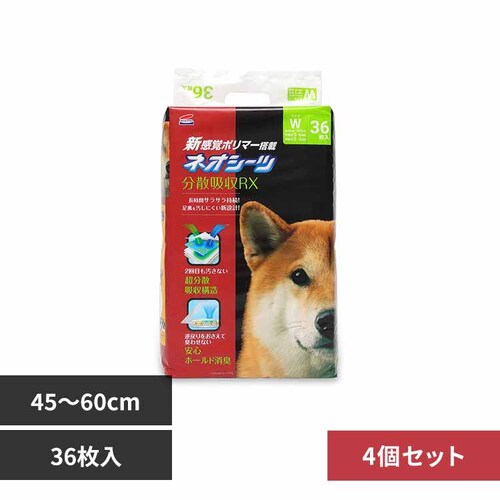 ЃR[`[ y4zlIV[c RX Ch36 3630473 yvUZNgz_0