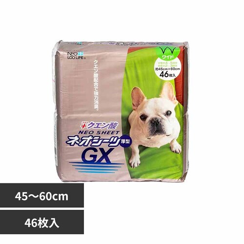 ЃR[`[ lIV[c NG_GX Ch46 3630415 yvUZNgz_0