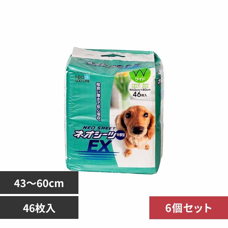 ЃR[`[ y6zlIV[c EX Ch46 3630302 yvUZNgz